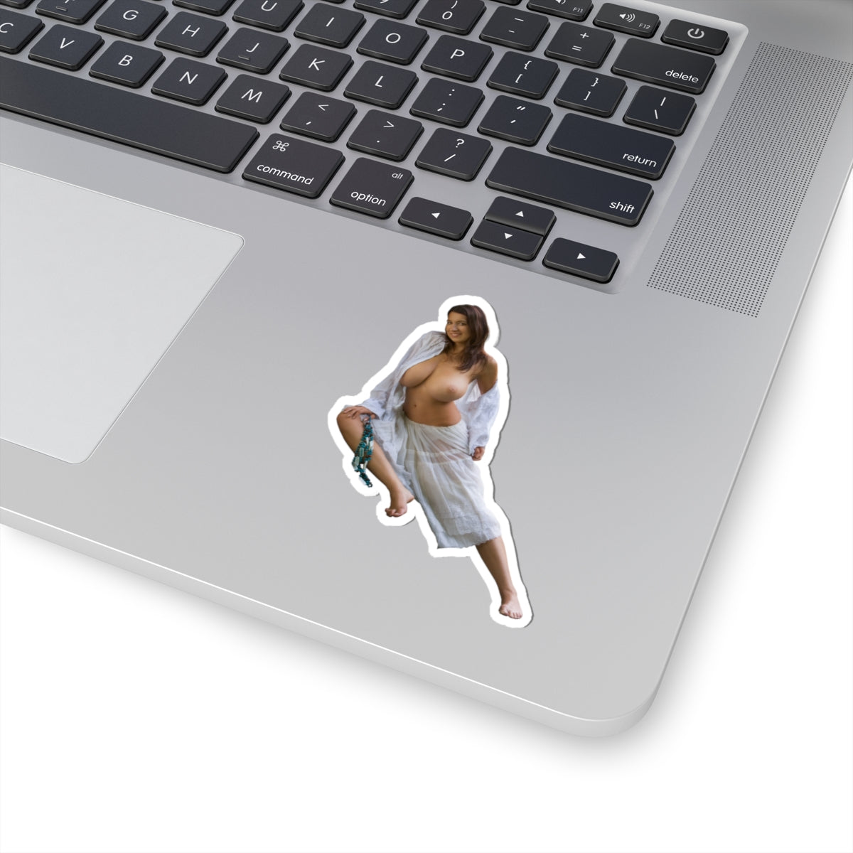 Busty Girl Sticker Sexy Model Stickers