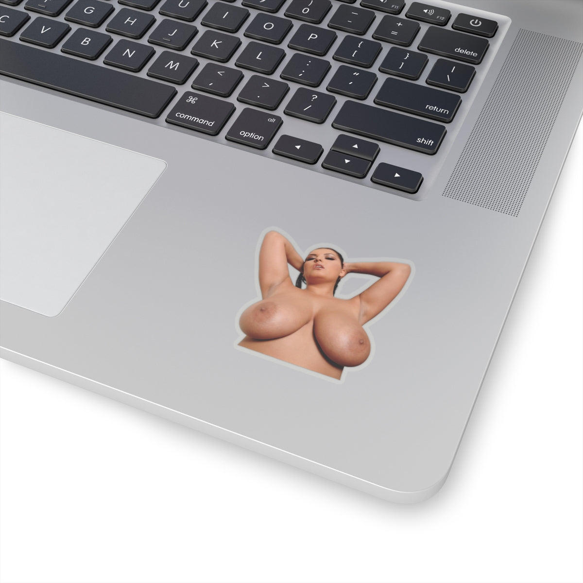 Pretty Girl Sticker Pinup Naked Big Boobs Girl Stickers
