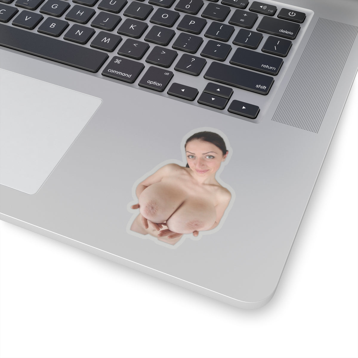 Big Boobs Girl Sticker