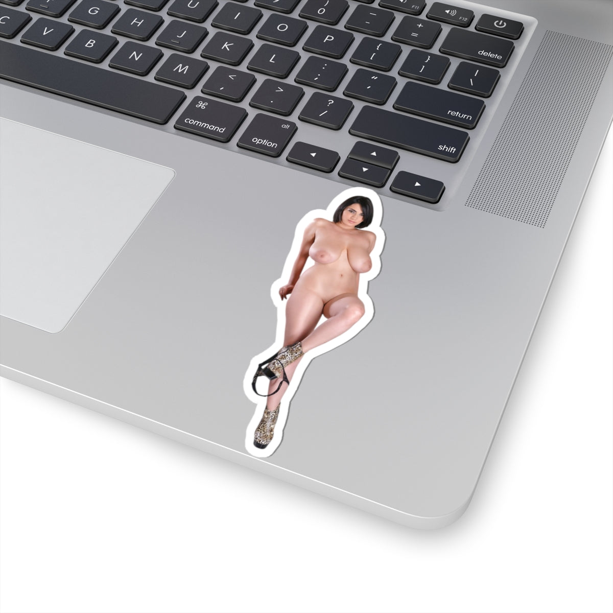 Sexy Girl Sticker Big Boobs Nude Women Stickers