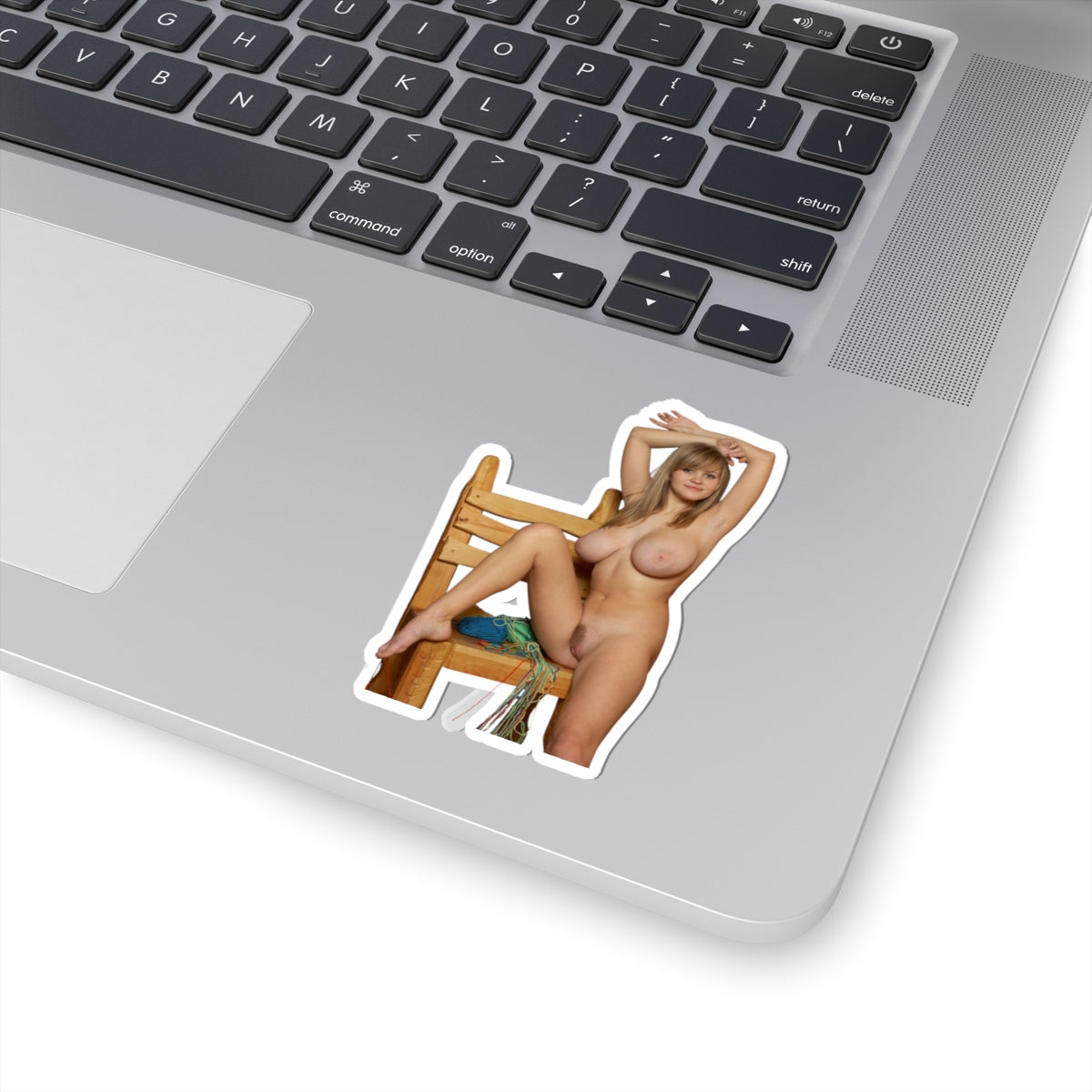 Sexy Big Boobs Nude Girl Sticker Adult Stickers For Men