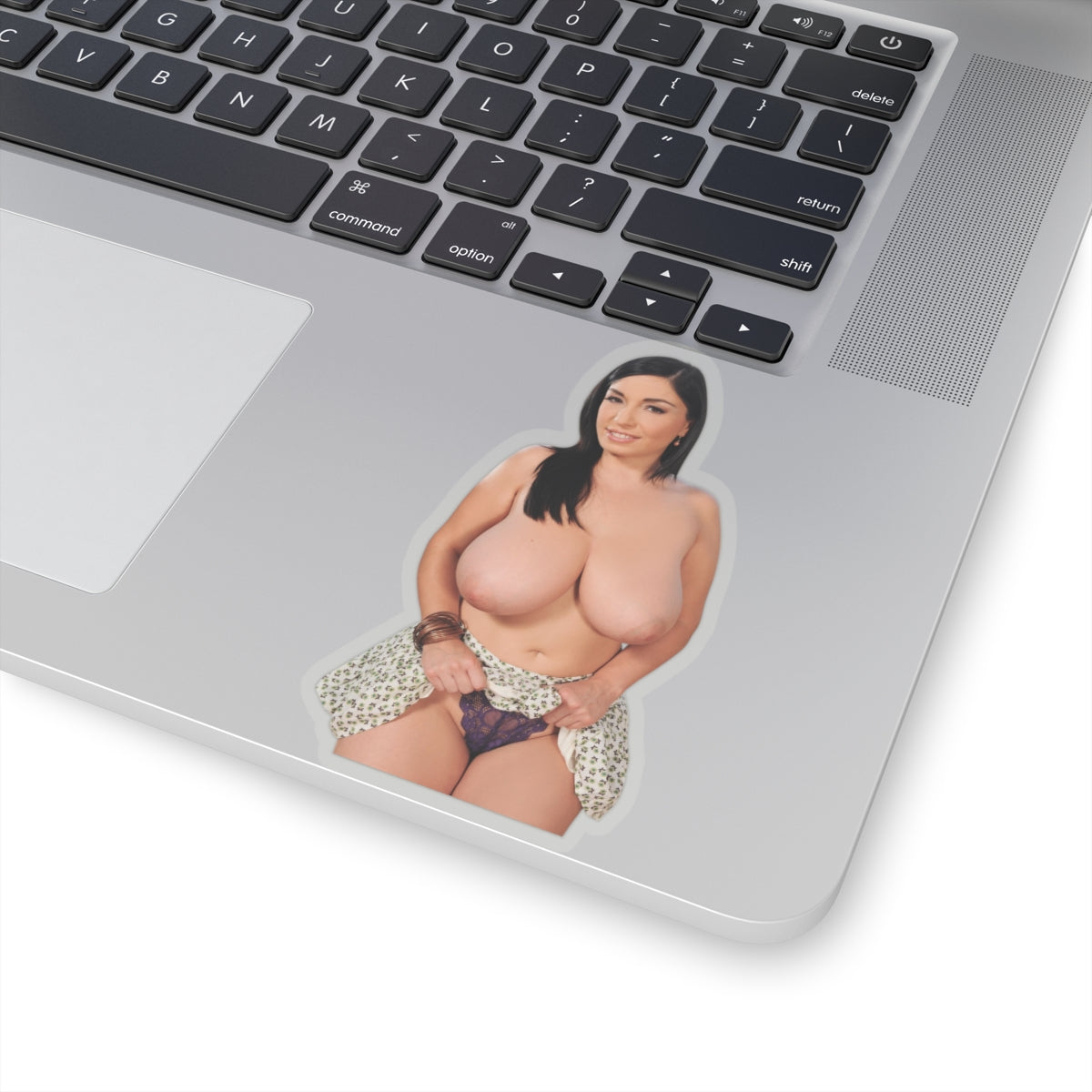 Sexy Pinup Model Vinyl Sticker Woman Decal Adult Art Design