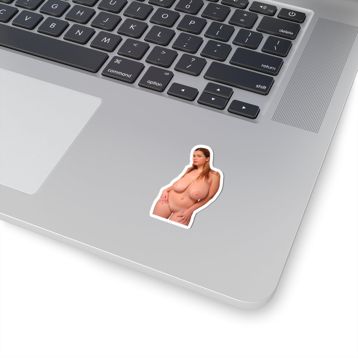 Naked Pussy XXX Sticker Nude Big Tits Stickers