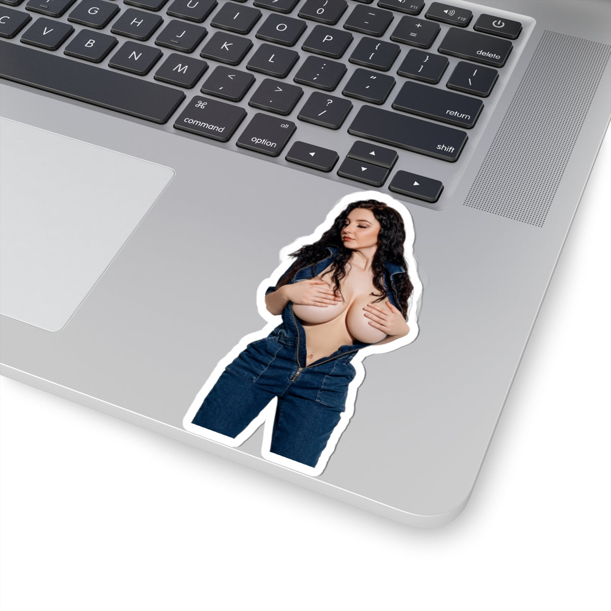 Big Tits Laurine Model Stickers Sexy Girl