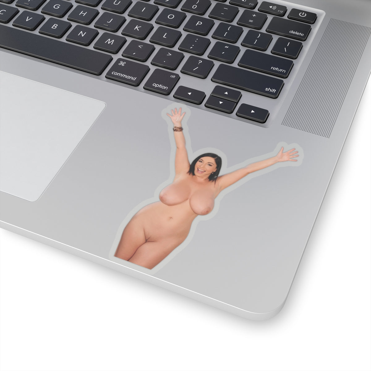 Voluptuous Pinup Woman Sticker Vinyl Decal Adult Art Design