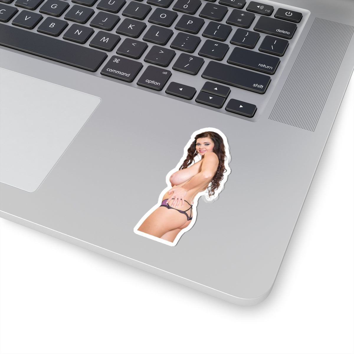 Big Boobs Sexy Girl Sticker Adult Stickers