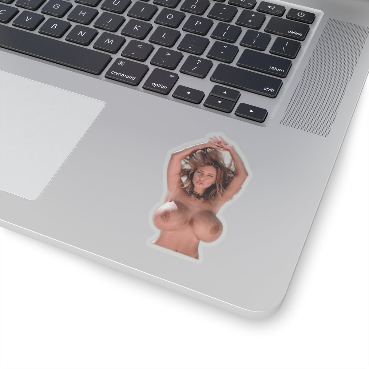 Adult Sexy Girl Sticker Pin-Up Model Nude Beauty Big Tits Vinyl Decor