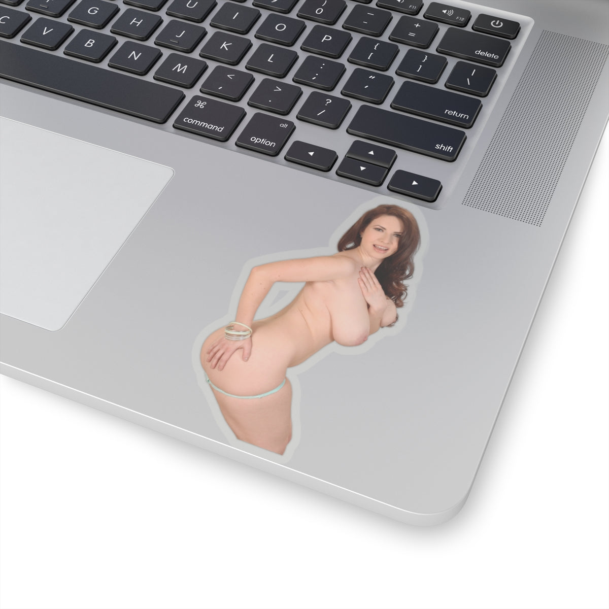 naked big tits girl stickers