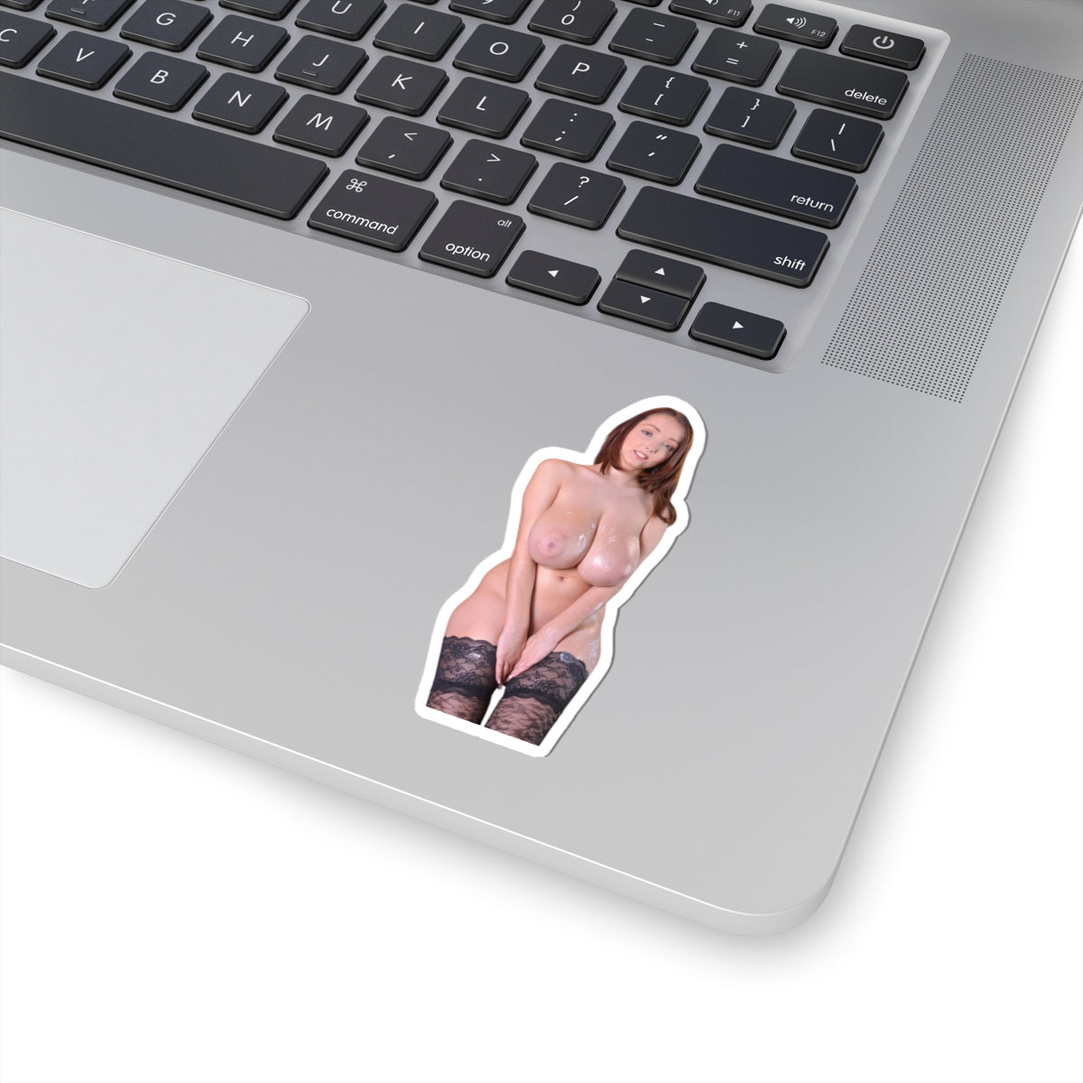 Busty Buffy Sticker Big Breast Girl Stickers