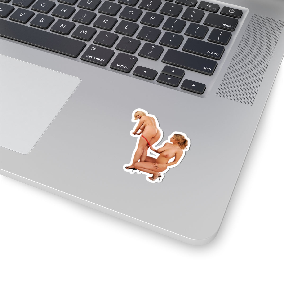 Busty Woman Sticker Set Two Curvy Girls Decals