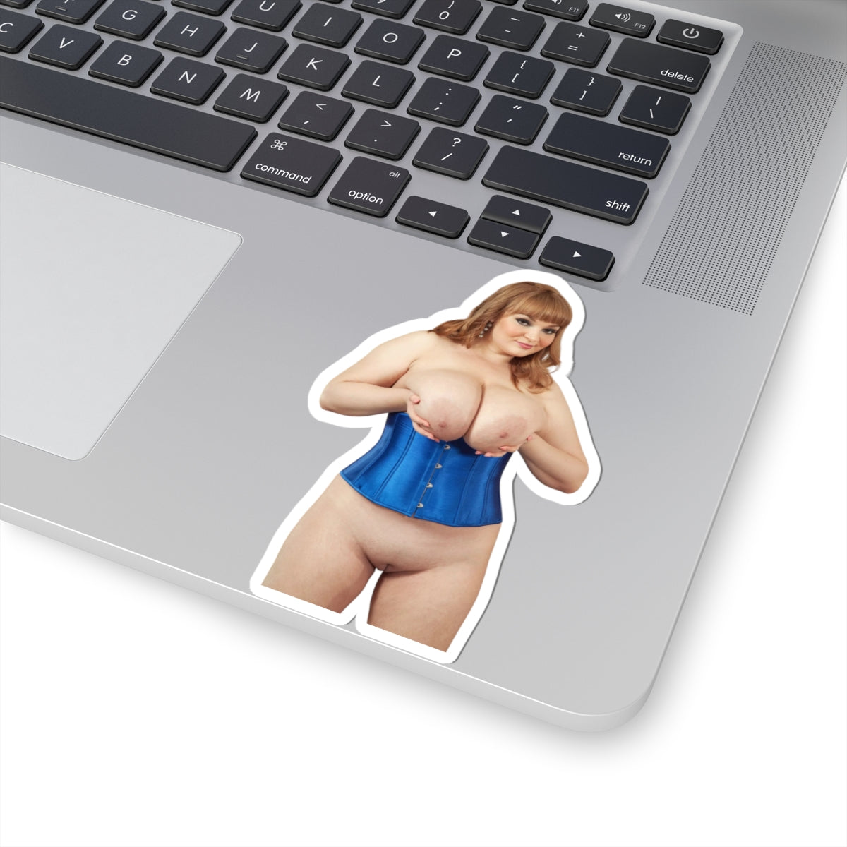 Big Boobs Thicc Curvy Naked Girl Adult Stickers