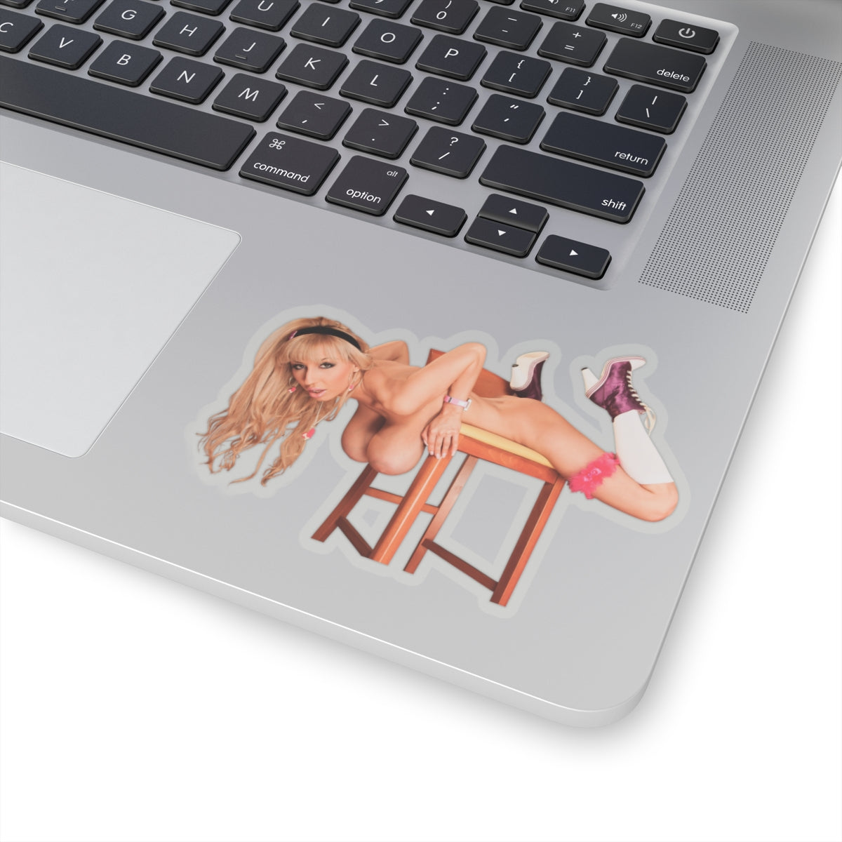 Big Tits Naked Women Sticker Pinup Stickers