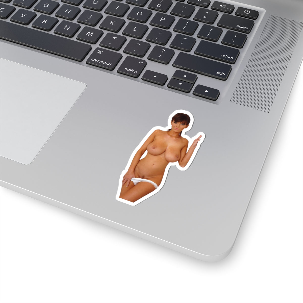 Big Boobs Naked Women