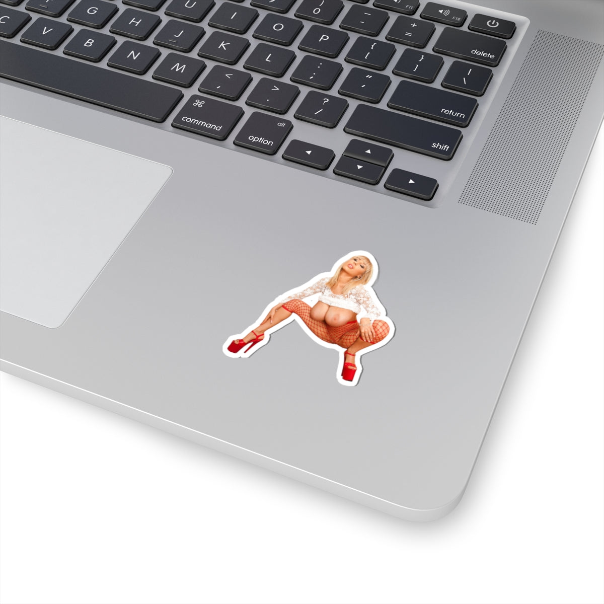 big boobs girl Stickers