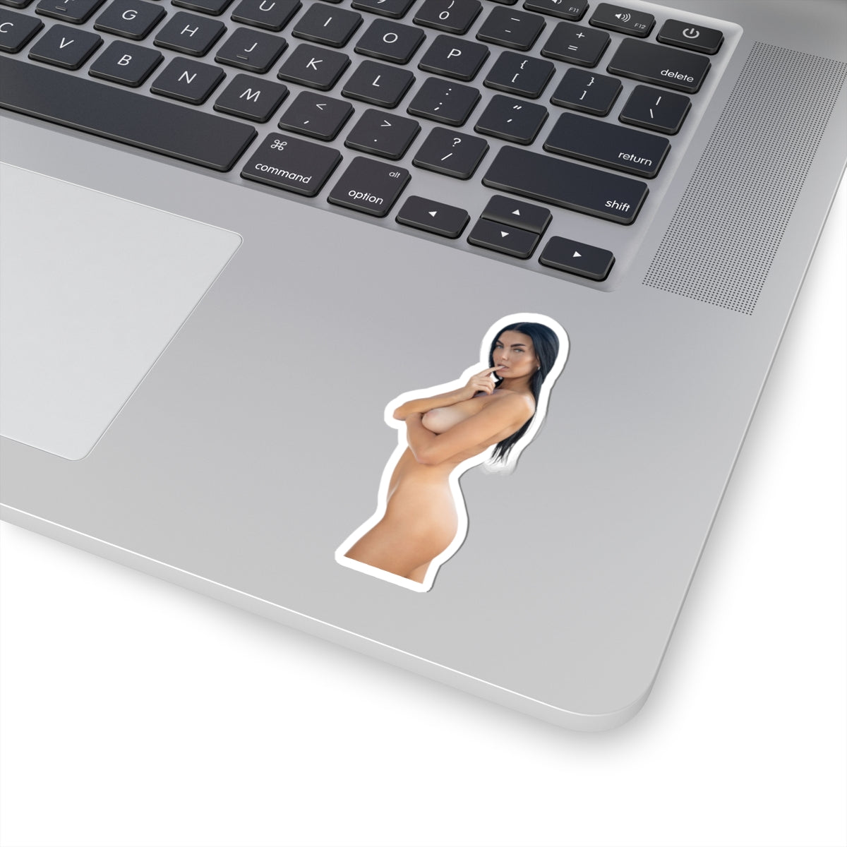 Pinup Model Sticker 2