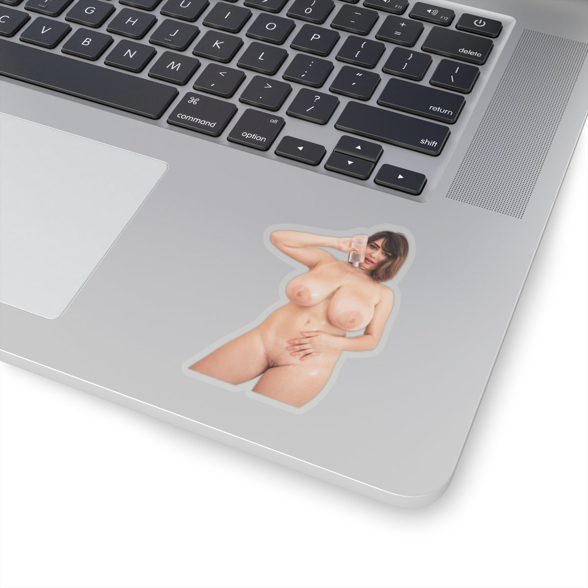 Nude Sexy Woman Sticker Pin-Up Girl Big Tits Vinyl Decal Adult Collection