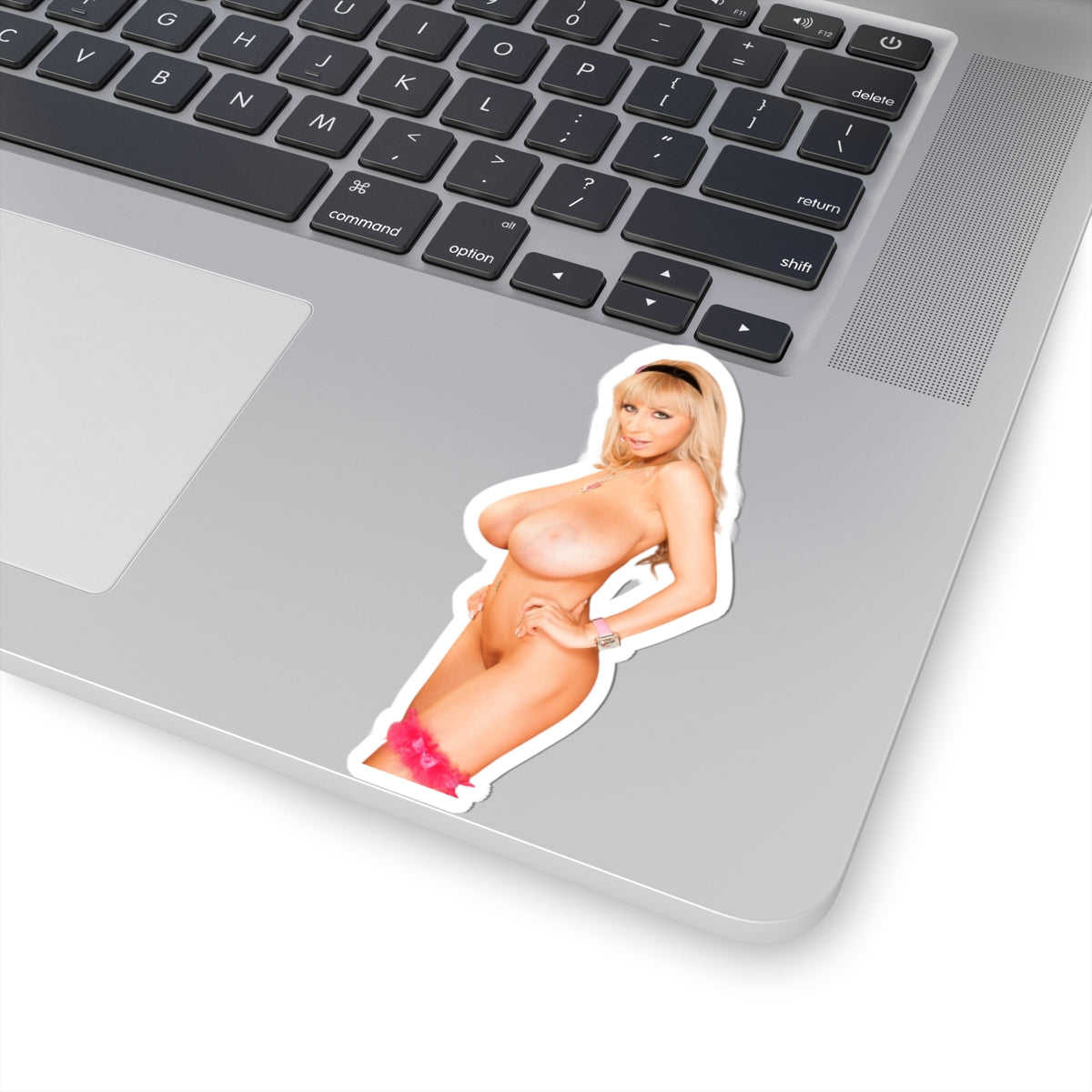 Big Tits Nude Girl Sticker Pinup Stickers
