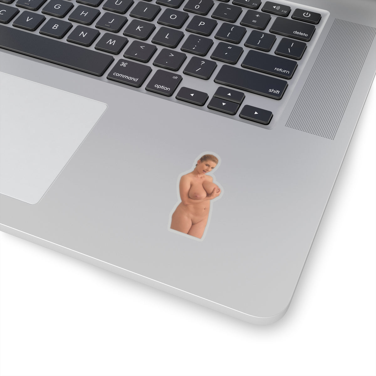 Sexy Girl Naked Sticker Nude Women Big Tits Boobs Stickers
