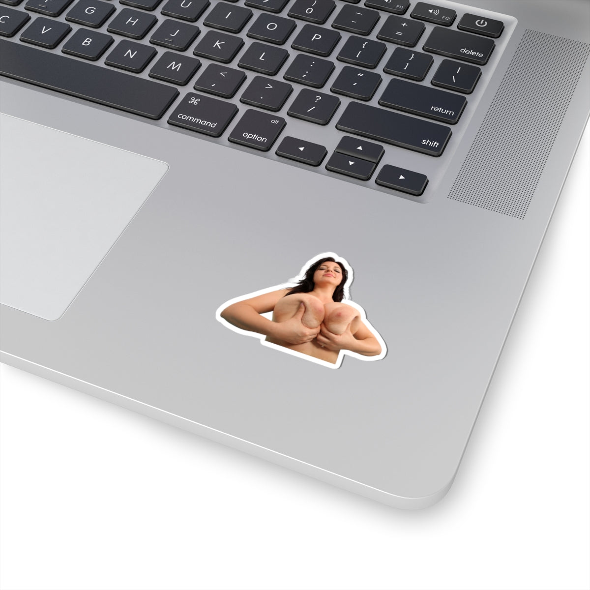 Tits Girl Sticker