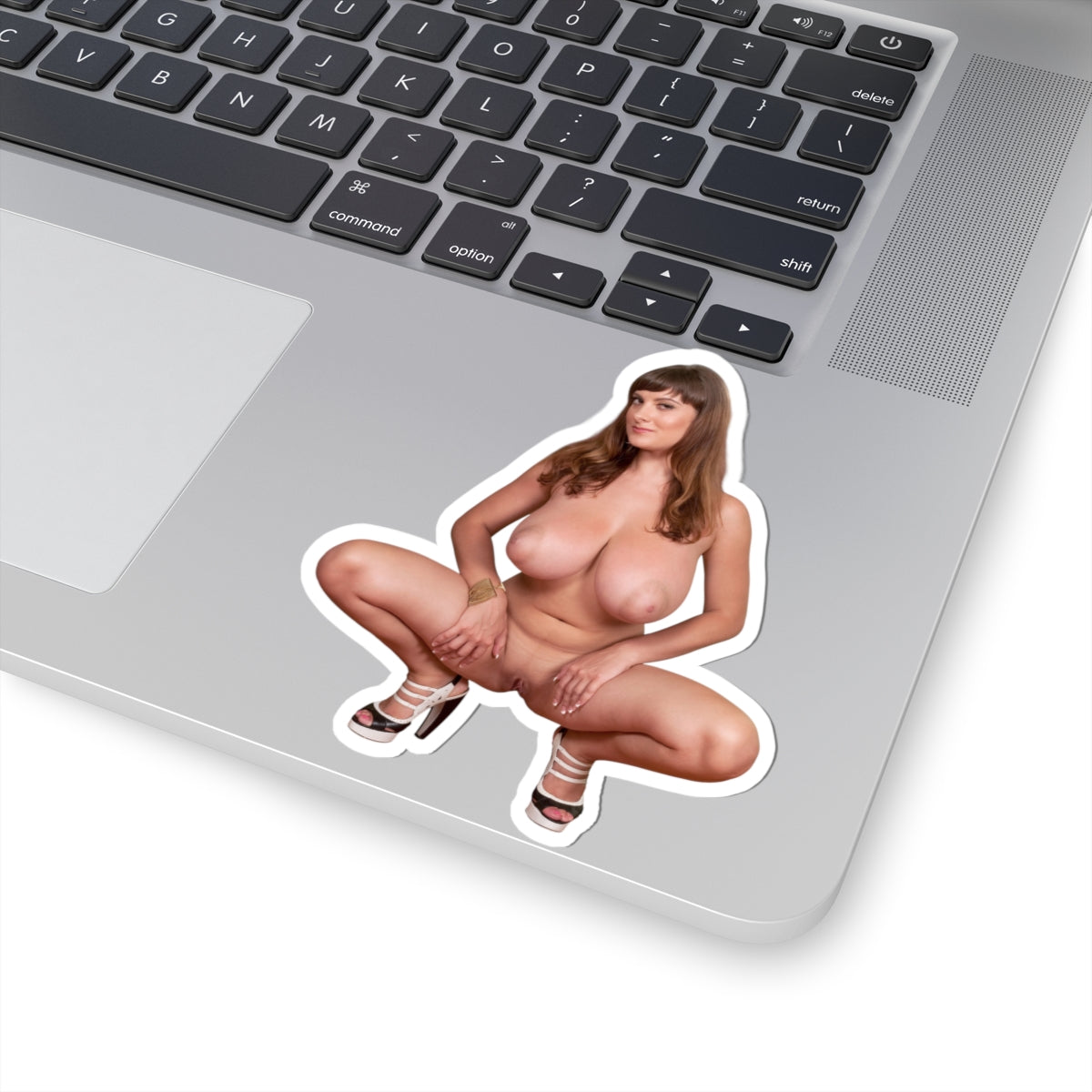 Big Tits Girl Sticker Uncensoerd Stickers For Adult