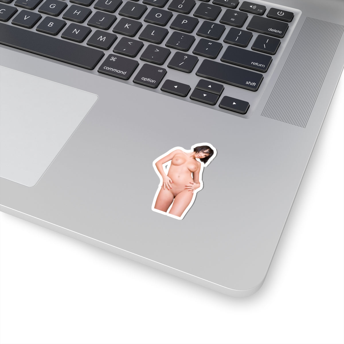 Sexy Girl Sticker Pinup Model Stickers