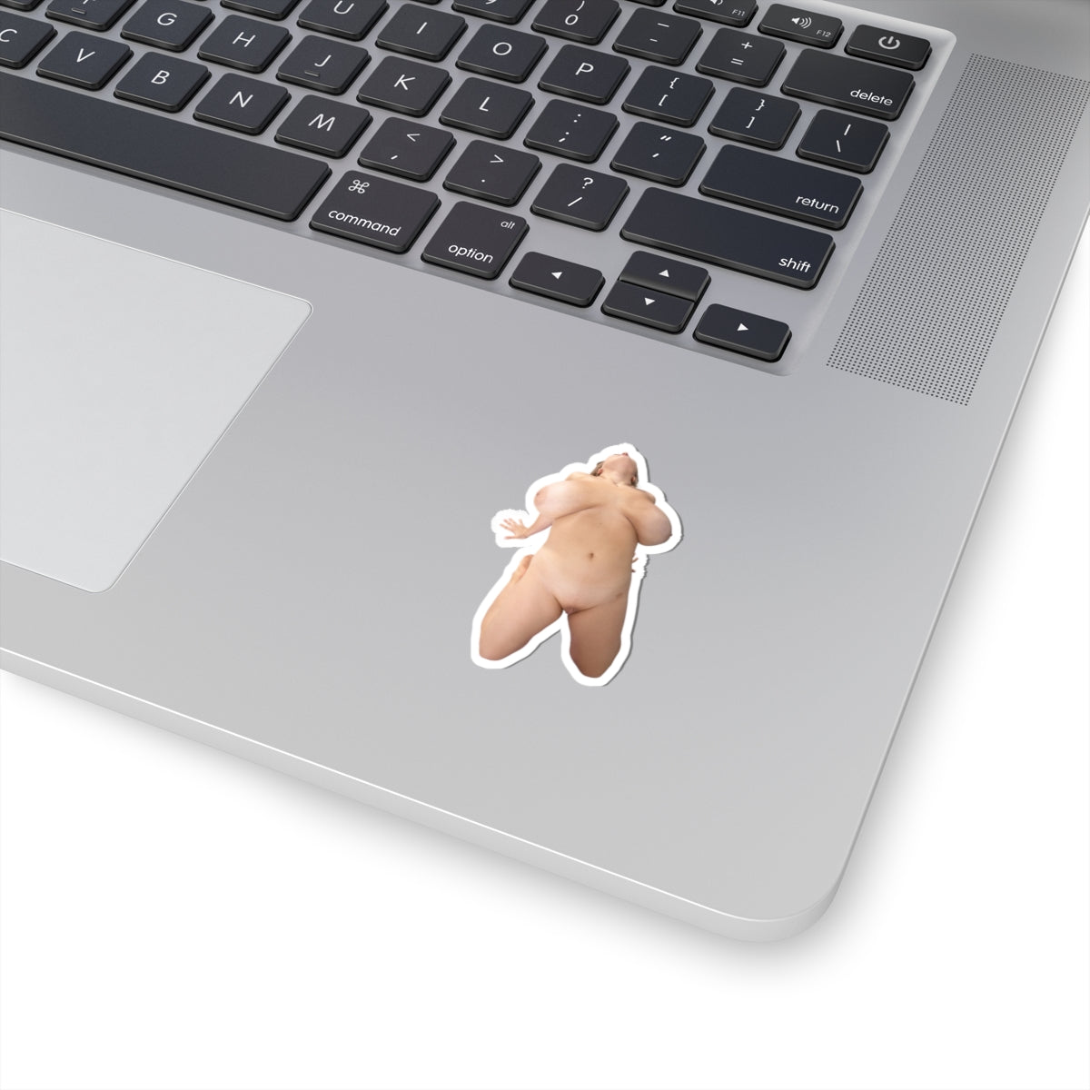 Big Breast Girl Sticker Naked Pinup Model Stickers