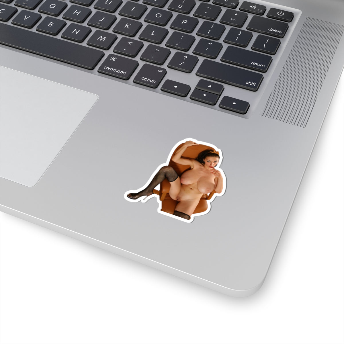 Naked Model Sticker Sexy Girl Big Tits Stickers
