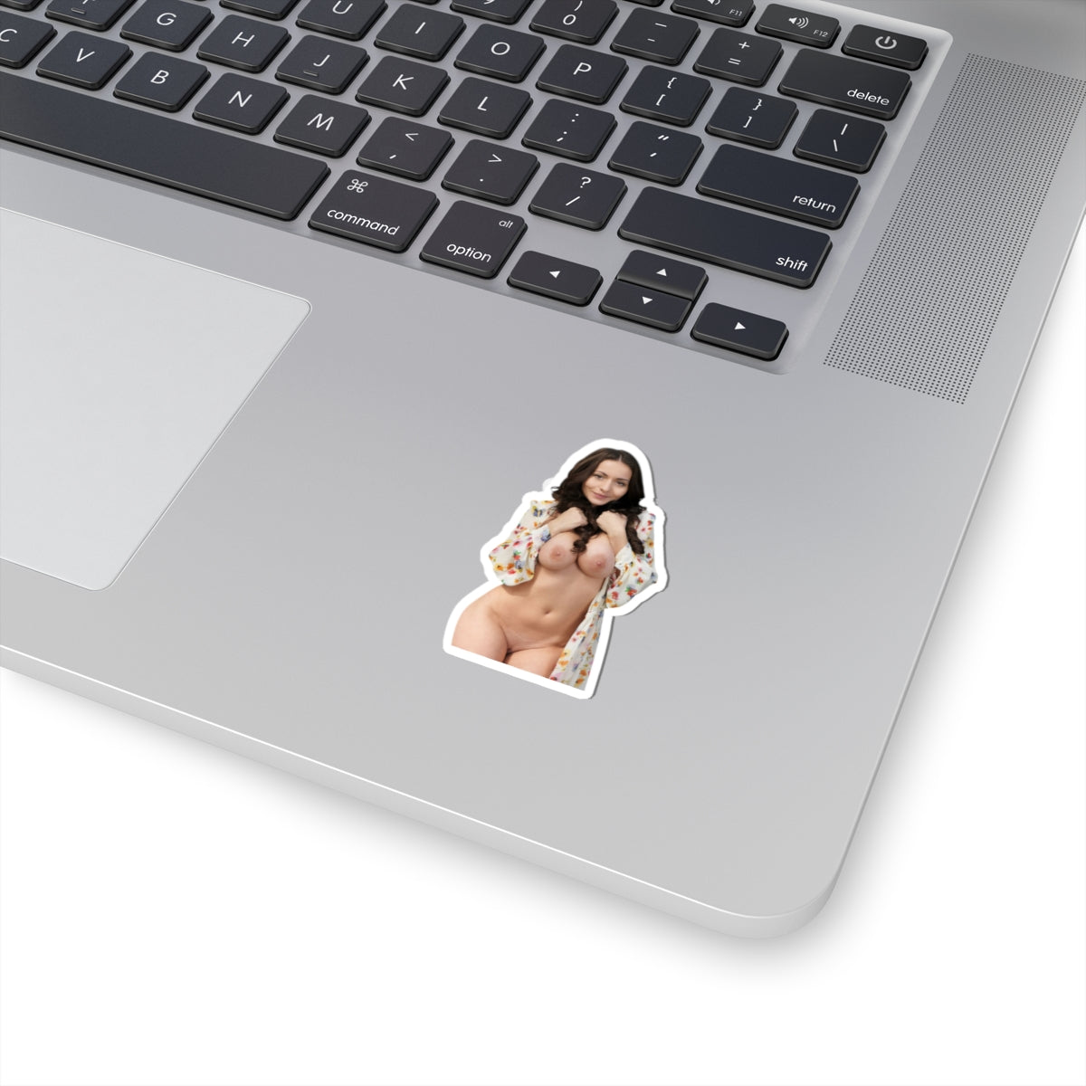 Pinup Sticker Hot Sexy Model Stickers