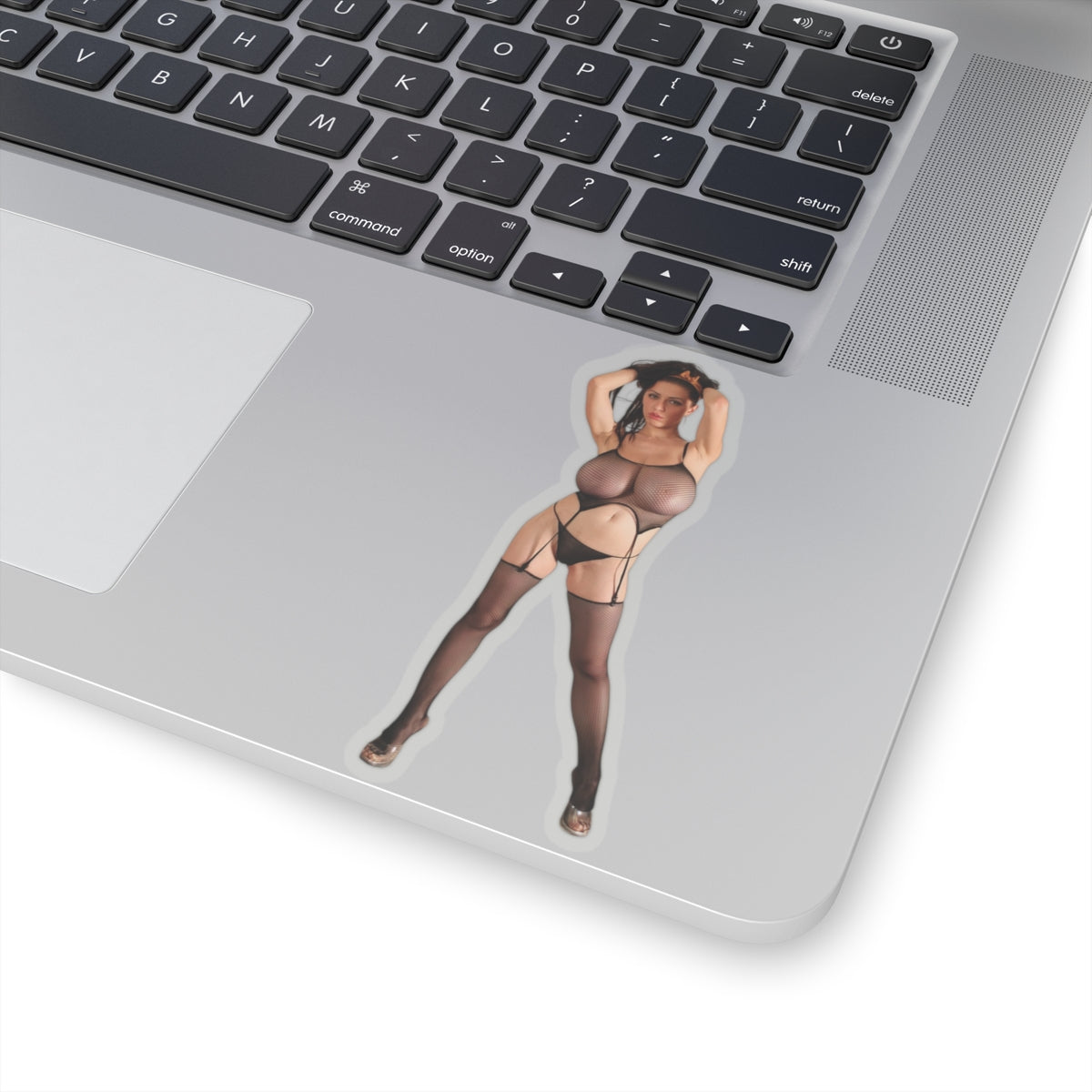 Big Tits Girl Pinup Sticker Sexy Women Boobs Adult Mature Decal