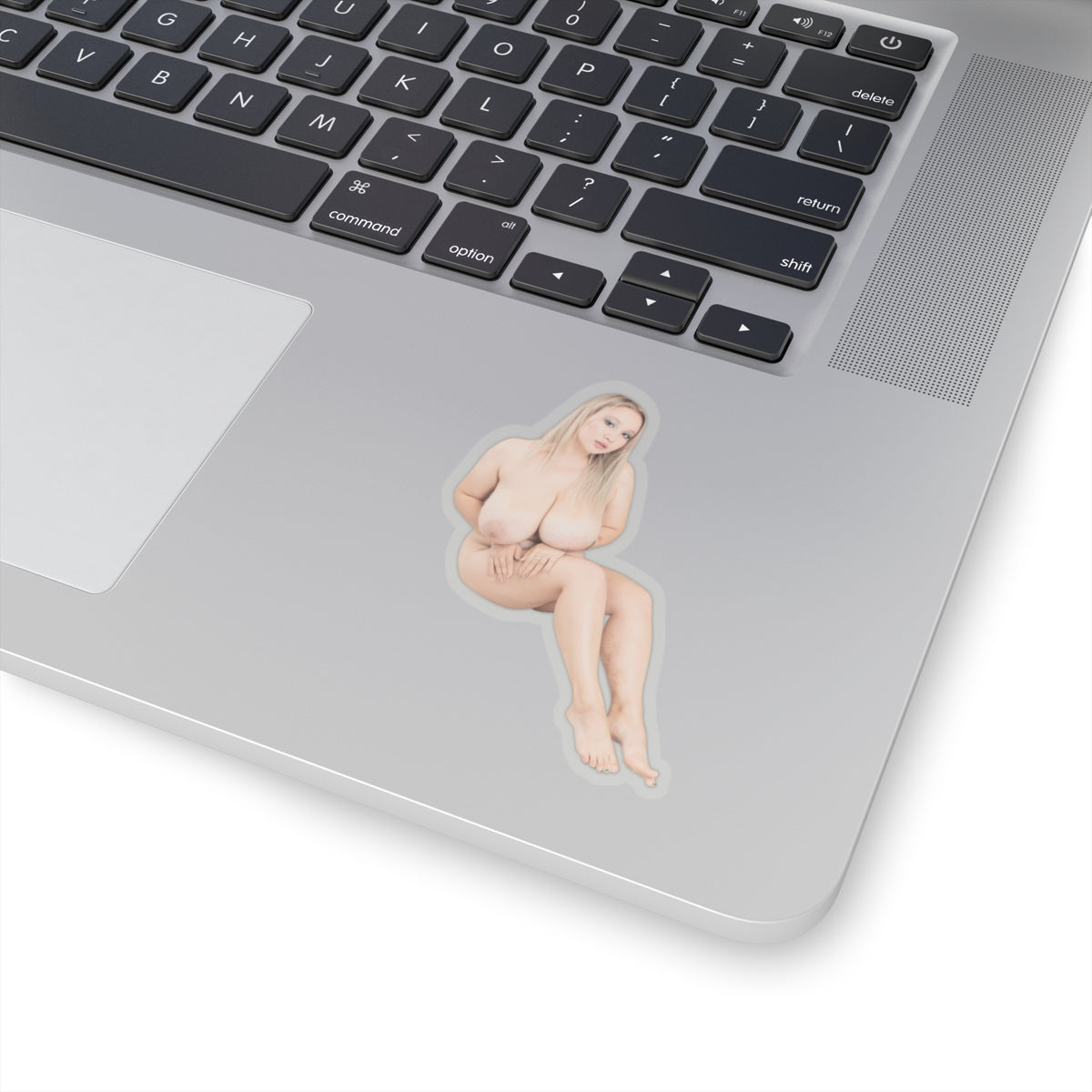 Erotic Sticker Big Tits Pinup Model