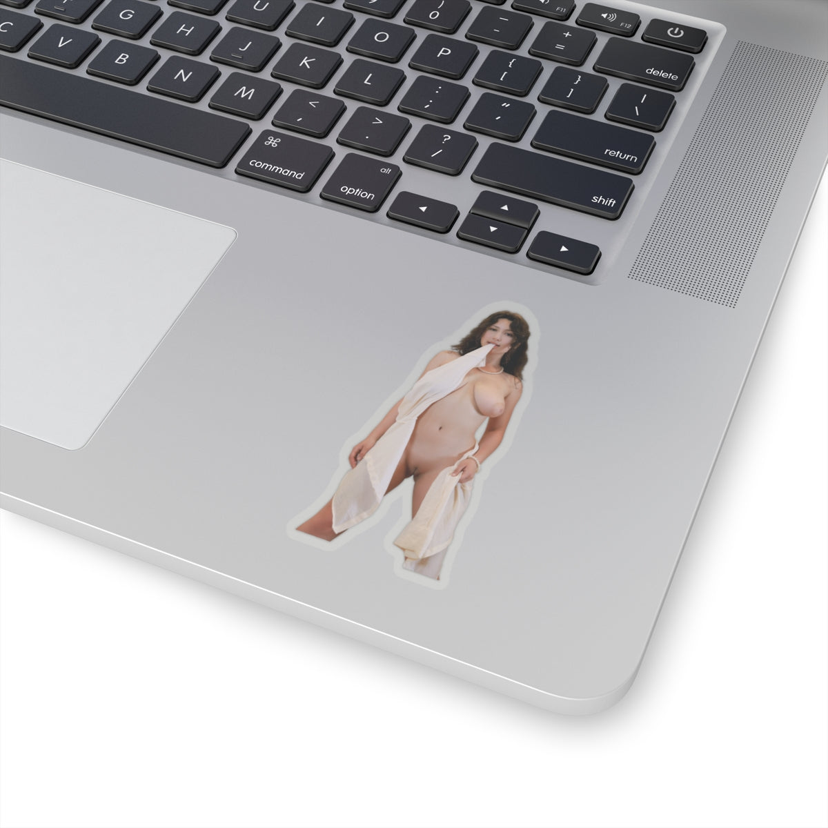 Nude Model Pinup Stickers