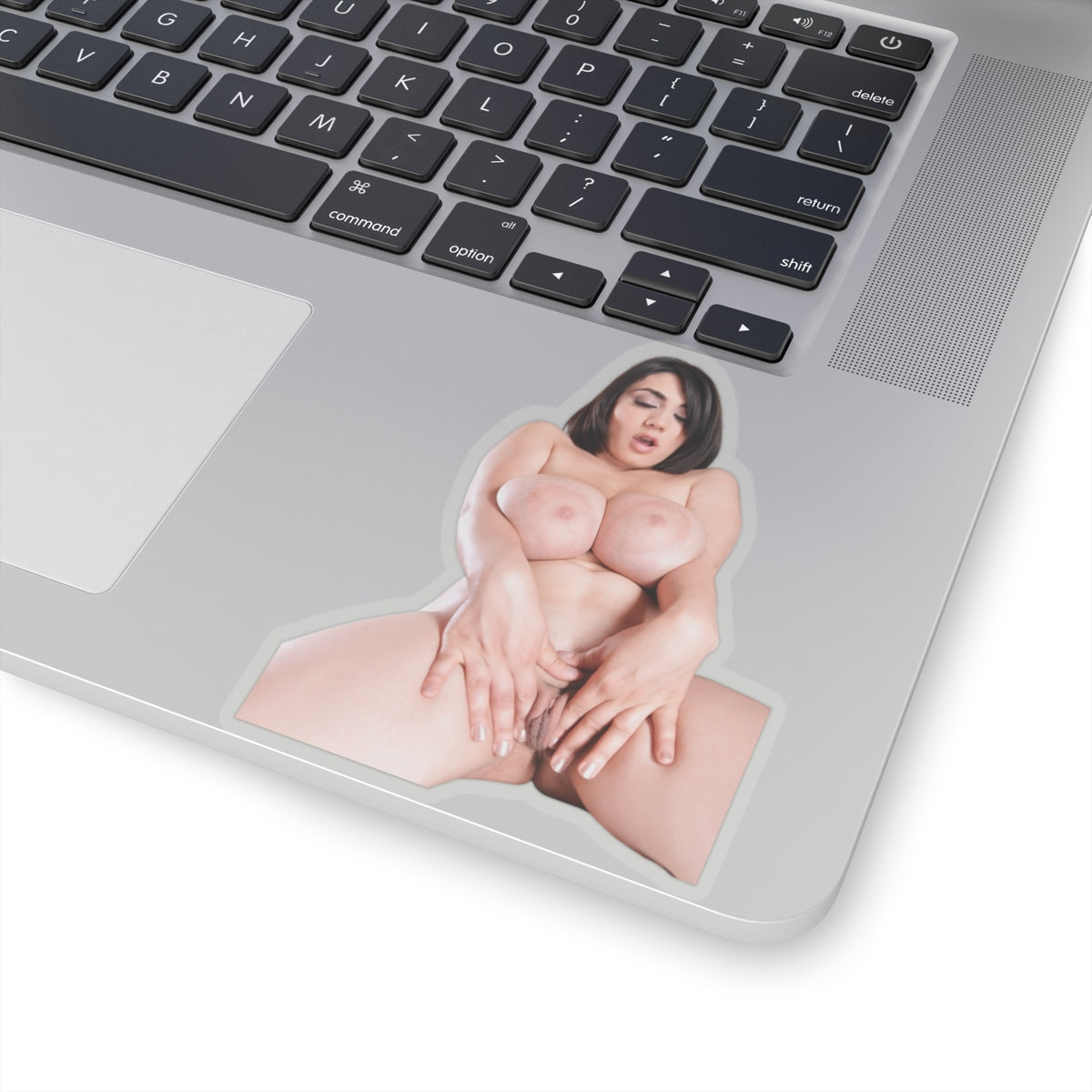 Sexy Girl Sticker Big Boobs Naked Uncensored Stickers
