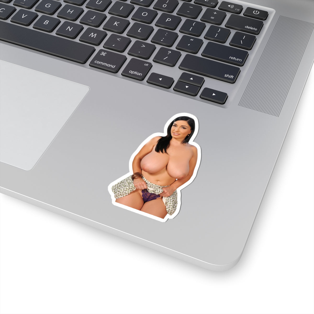Sexy Pinup Model Vinyl Sticker Woman Decal Adult Art Design