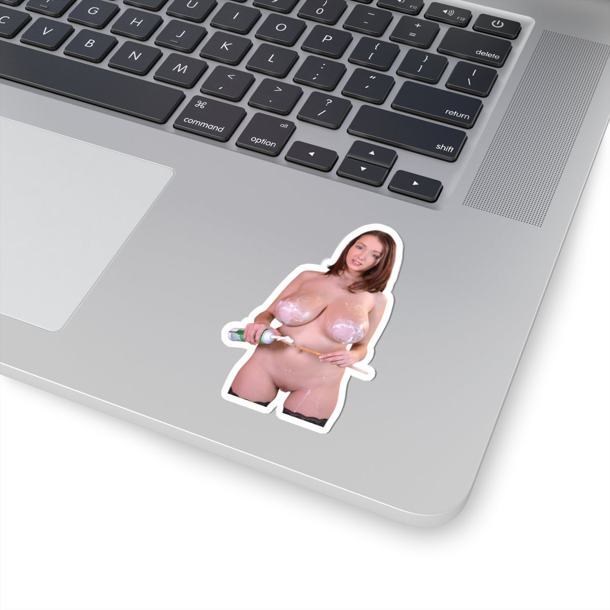 Busty Buffy Sticker Sexy Women Pinup Stickers