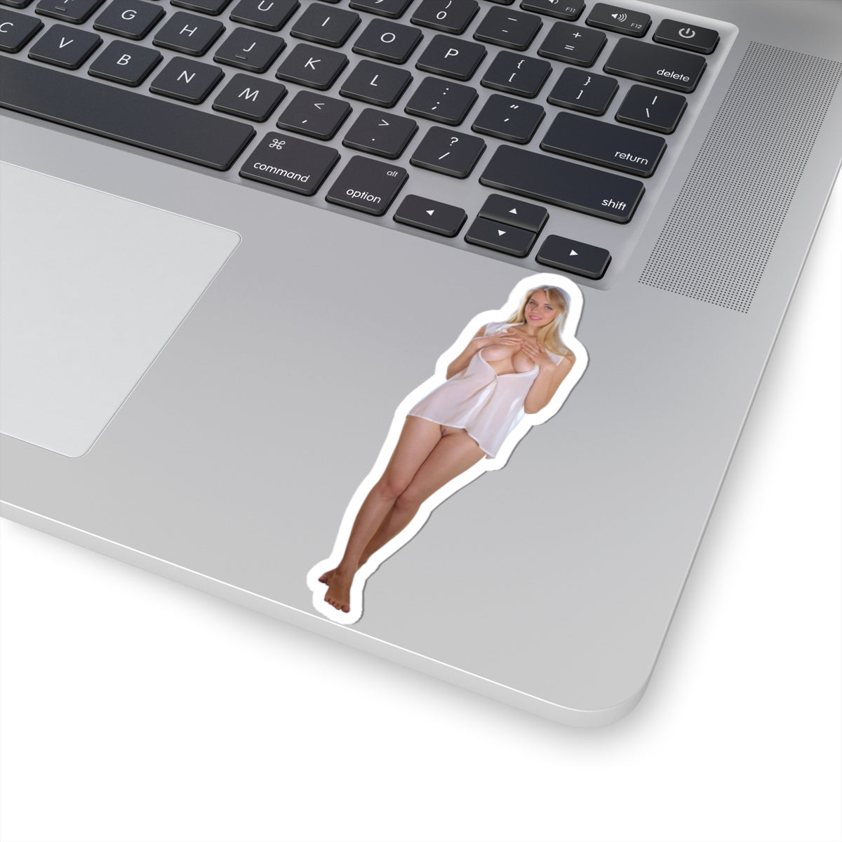 Pinup Stickers Sexy Women Uncensored Stickers