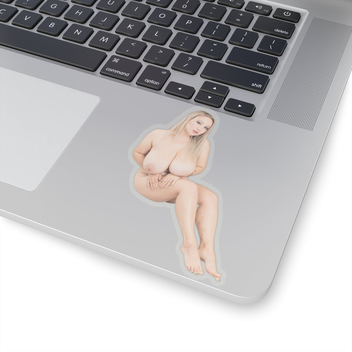 Erotic Sticker Big Tits Pinup Model