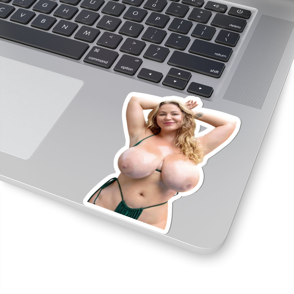 Busty Girl Big Tits Women Stickers