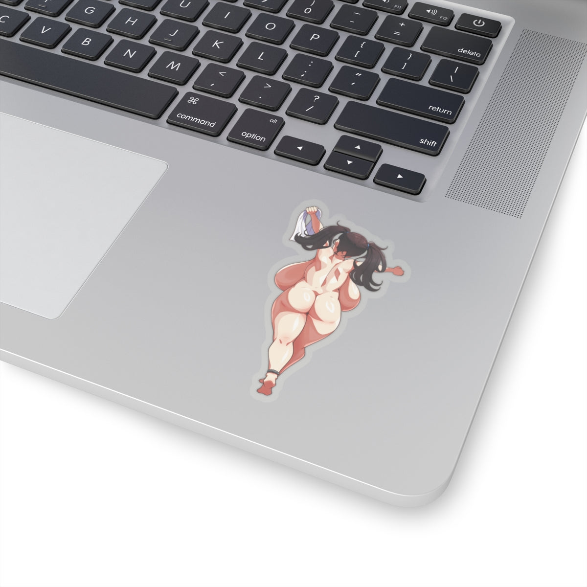 Naked Anime Girl Sticker Lewd Anime Stickers Matured Sticker Manga Stickers Cartoon Stickers Uncensored E645