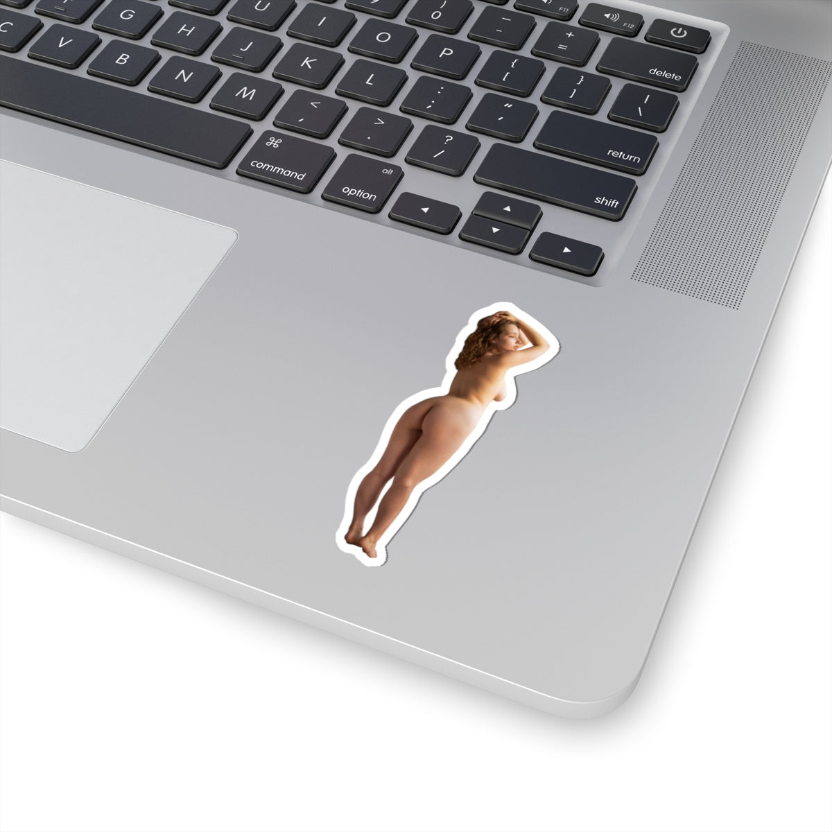Pinup Model Sticker Hot Girl Stickers Nude Sexy Women