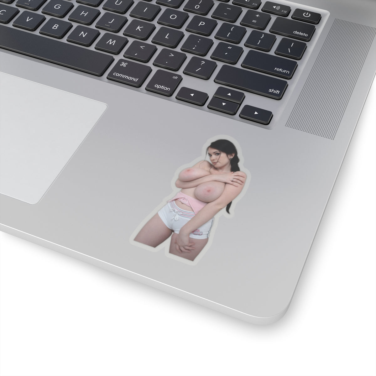 Hot Curvy Girl Model Sticker Sexy Fashion Decal