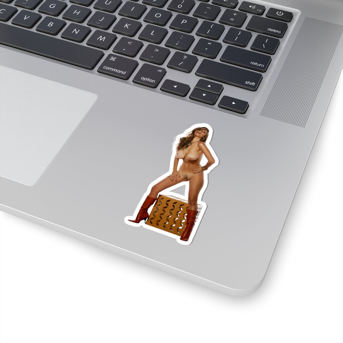 Vintage Glamour Girl Sticker Retro Pinup Vinyl Decal Adult Stickers Onlyfans Model