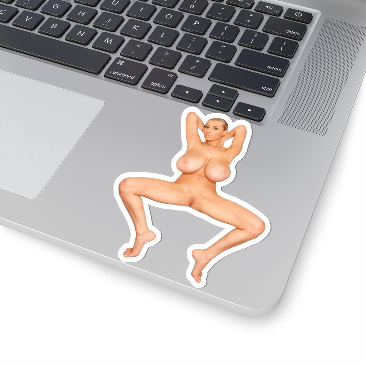 Nude Woman Sticker Sexy Pinup Girl Bathroom Vinyl Decal