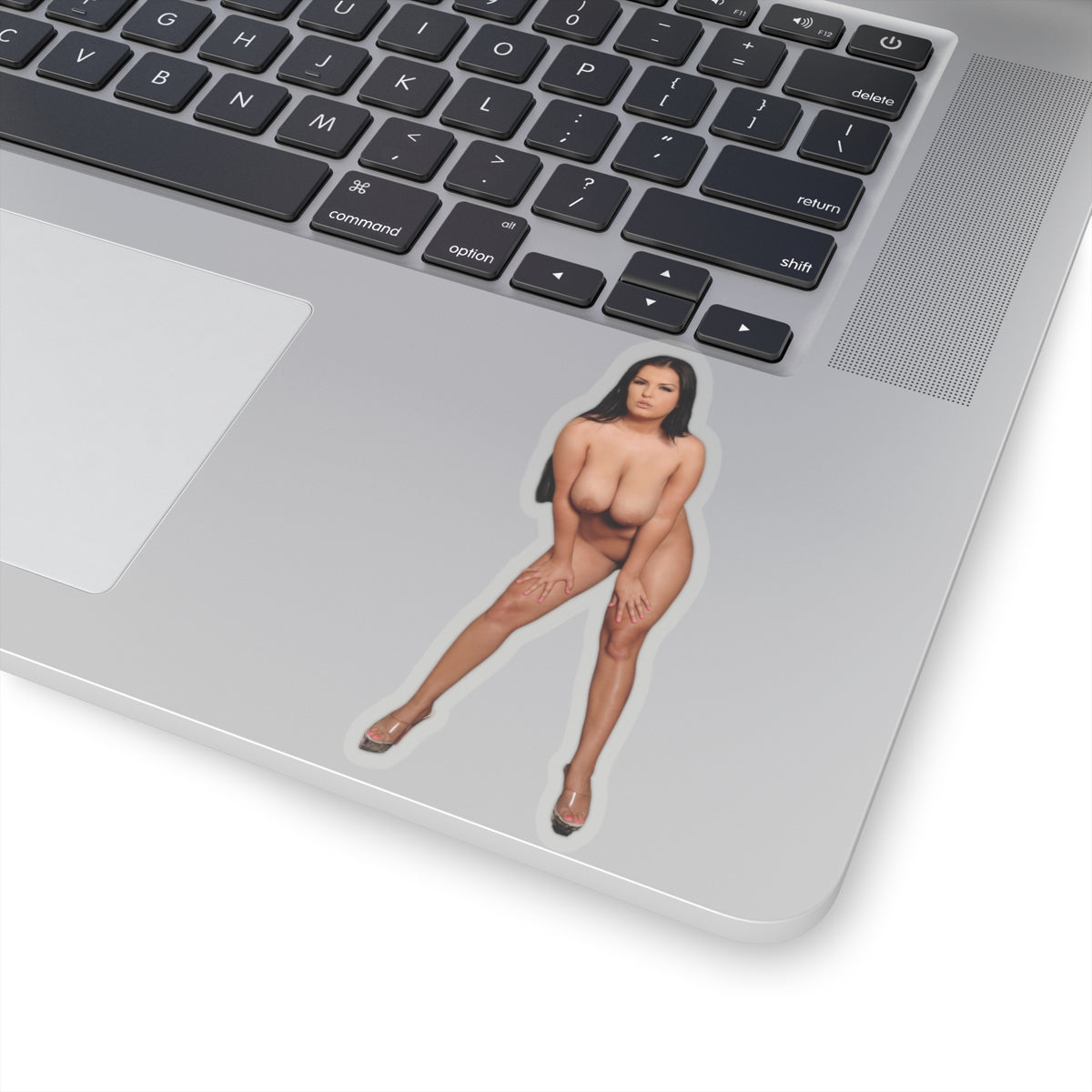 Busty Babe Stickers Sexy Women Stickers