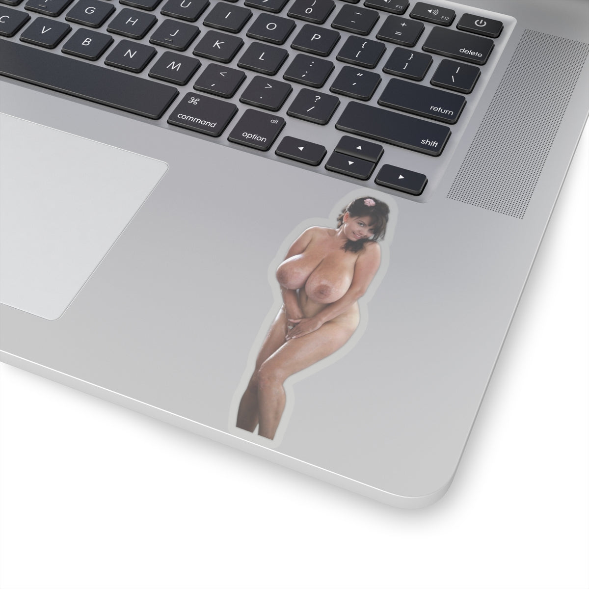 Pretty Naked Women Sticker Pinup Stickers Sexy Girl Funny Model EE183 E183