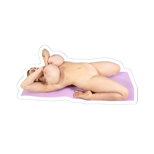 Big Boobs Girl Sticker Naked Pinup Model Stickers
