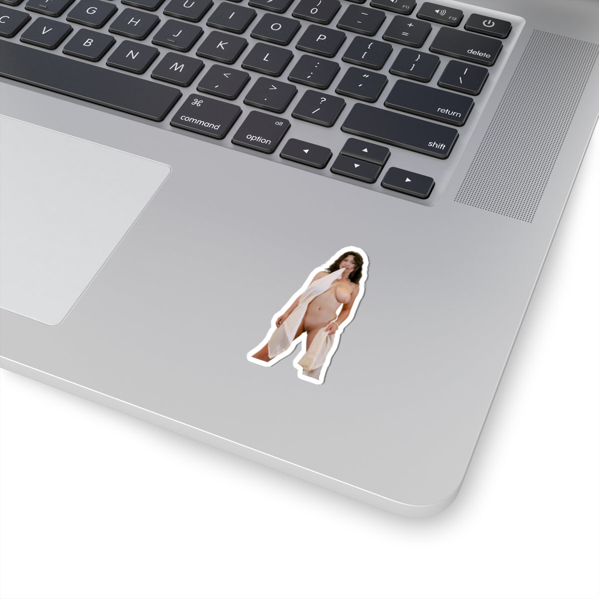 Nude Model Pinup Stickers