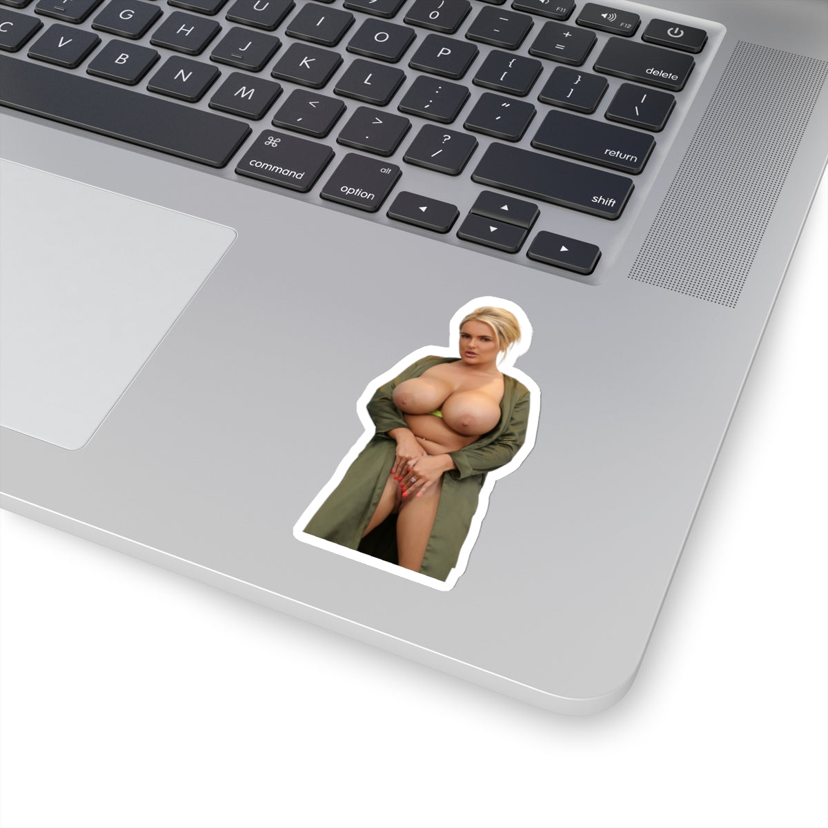 Sexy girl,sexy women,girl sticker,girl stickers,women sticker,pinup model,pinup,naked women,mature stickers,stickers for men,stickers for him,gifts for men,E975