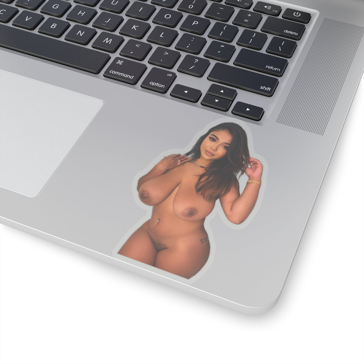 AA Beautiful Naked Model,Hot Girl,Sexy Women Sticker,Adult Stickers,Uncensored Sticker,Mature,Pinup Girl,Big Sticker,E339