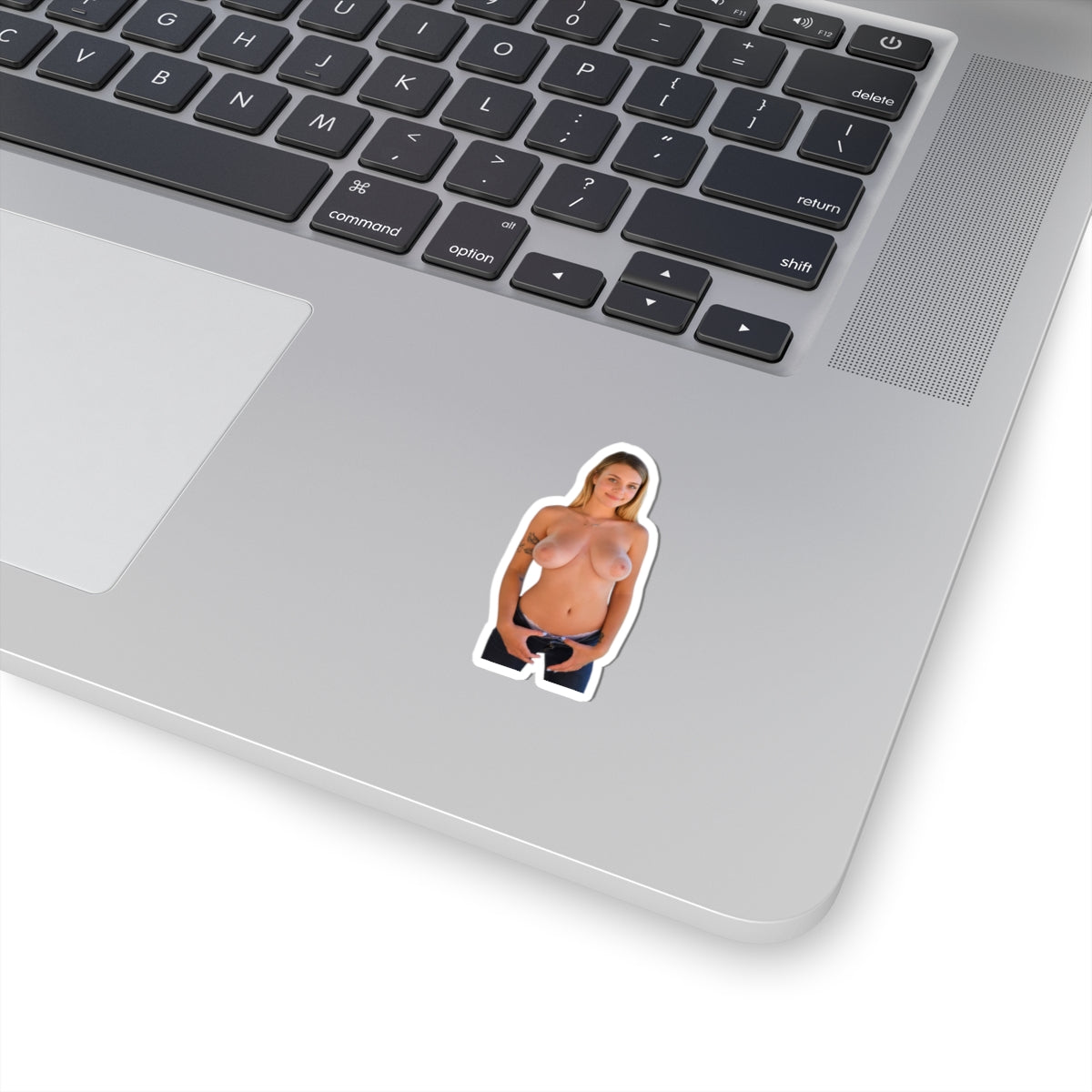 Sexy Girl Big Tits Model Sticker