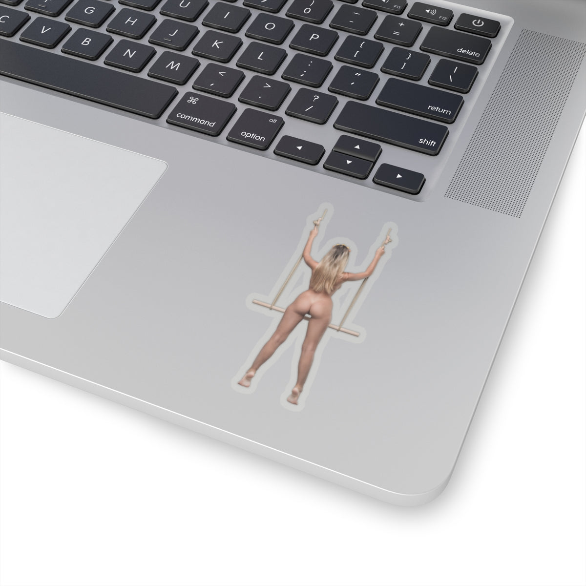 Hot Sexy Girls Sticker naked girl on the swing stickers
